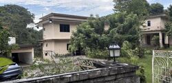 Wallace Way (D11), Detached #514580041